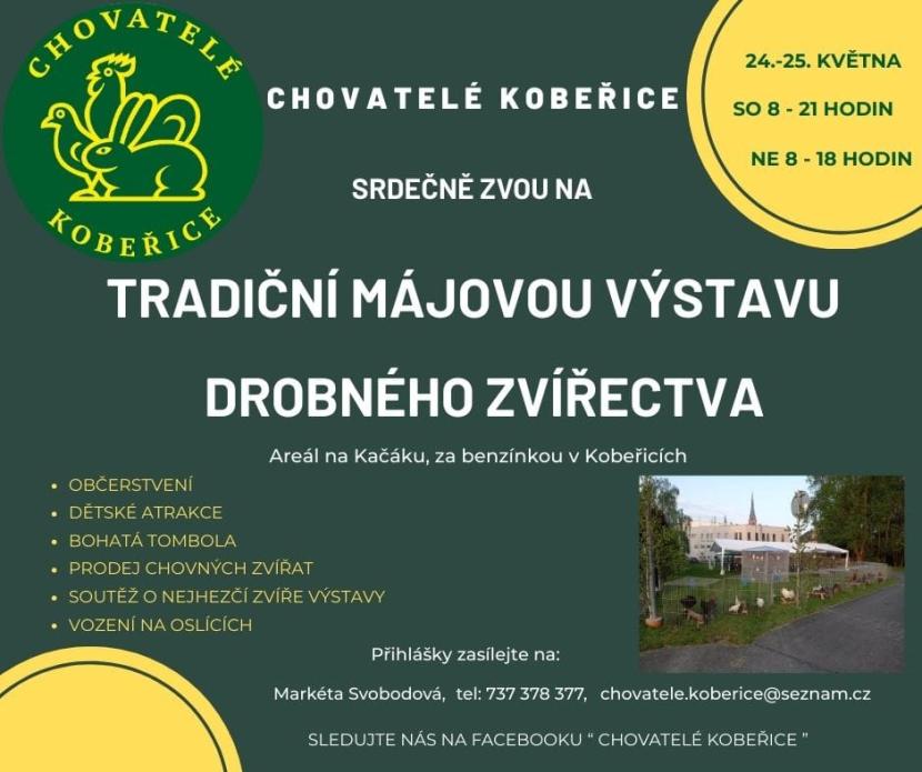 plakát